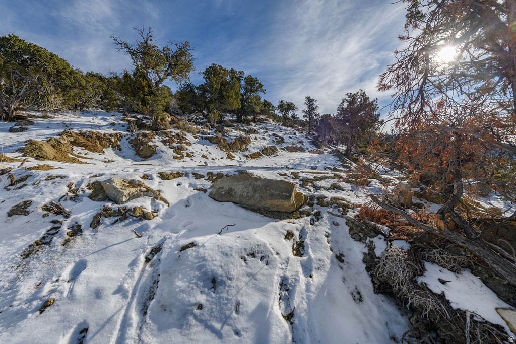 1960 N MAHOGANY CIR Cedar City, UT 84721