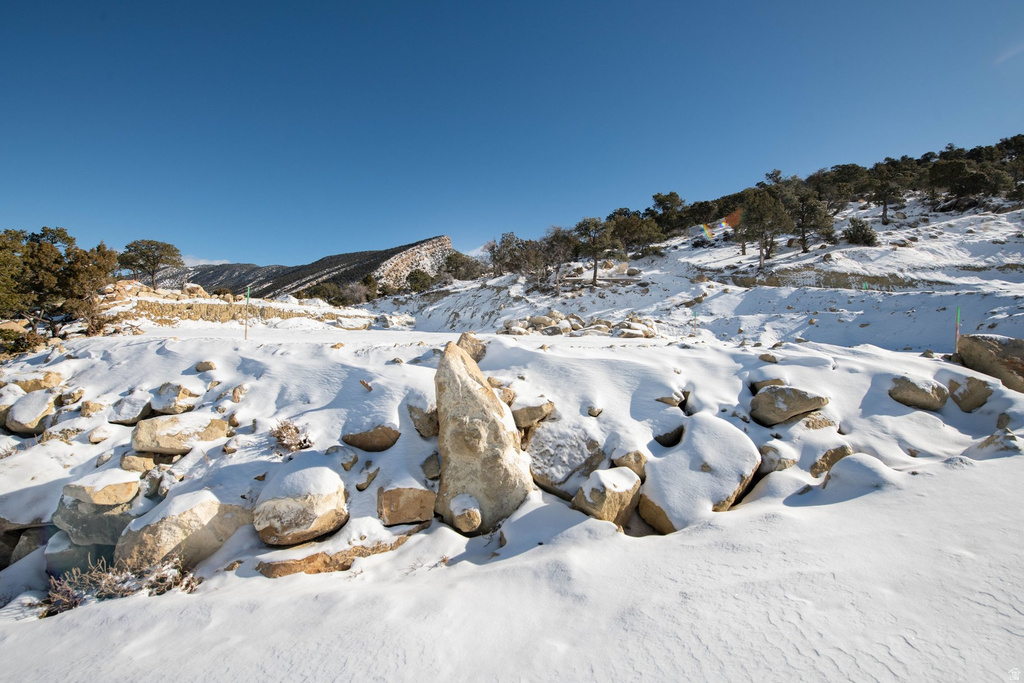 1960 N MAHOGANY CIR Cedar City, UT 84721