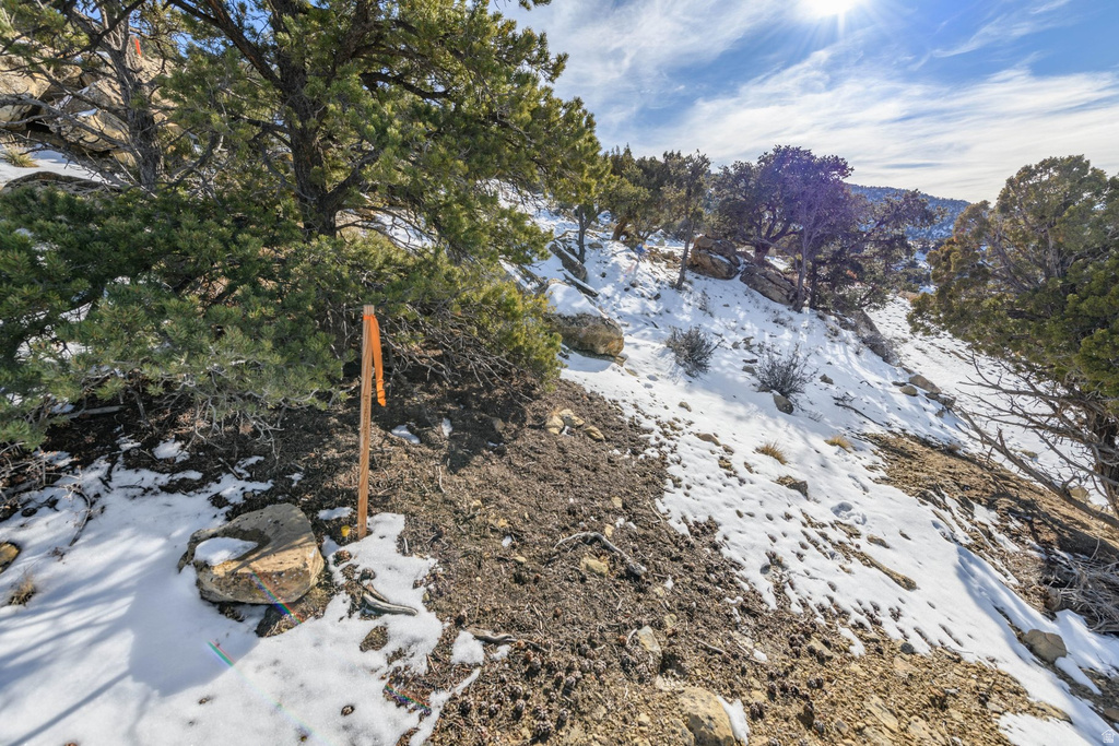 1960 N MAHOGANY CIR Cedar City, UT 84721