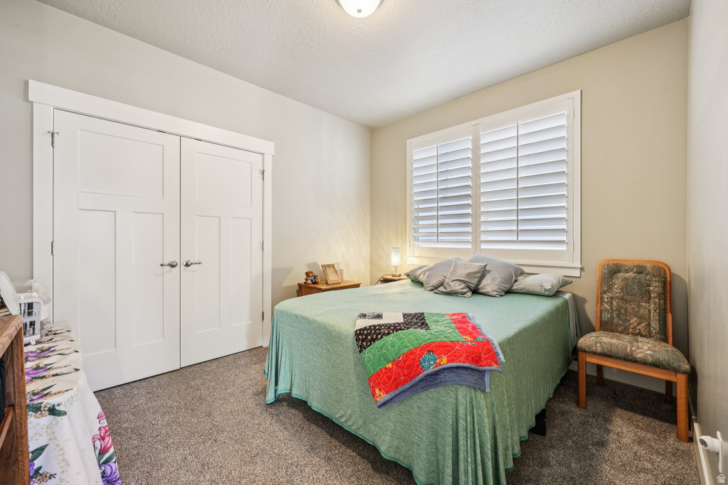 11737 S NIGEL PEAK LN Draper, UT 84020