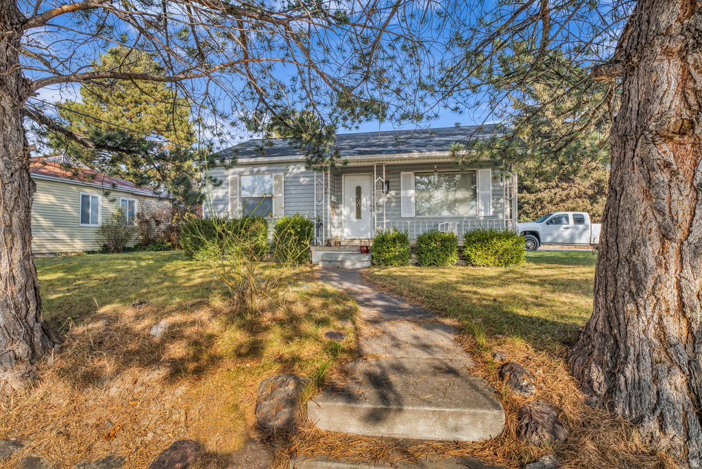 356 CLIFTON AVE American Fork, UT 84003