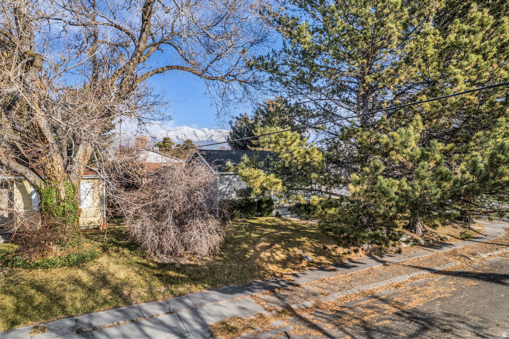 356 CLIFTON AVE American Fork, UT 84003