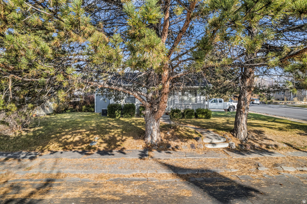 356 CLIFTON AVE American Fork, UT 84003