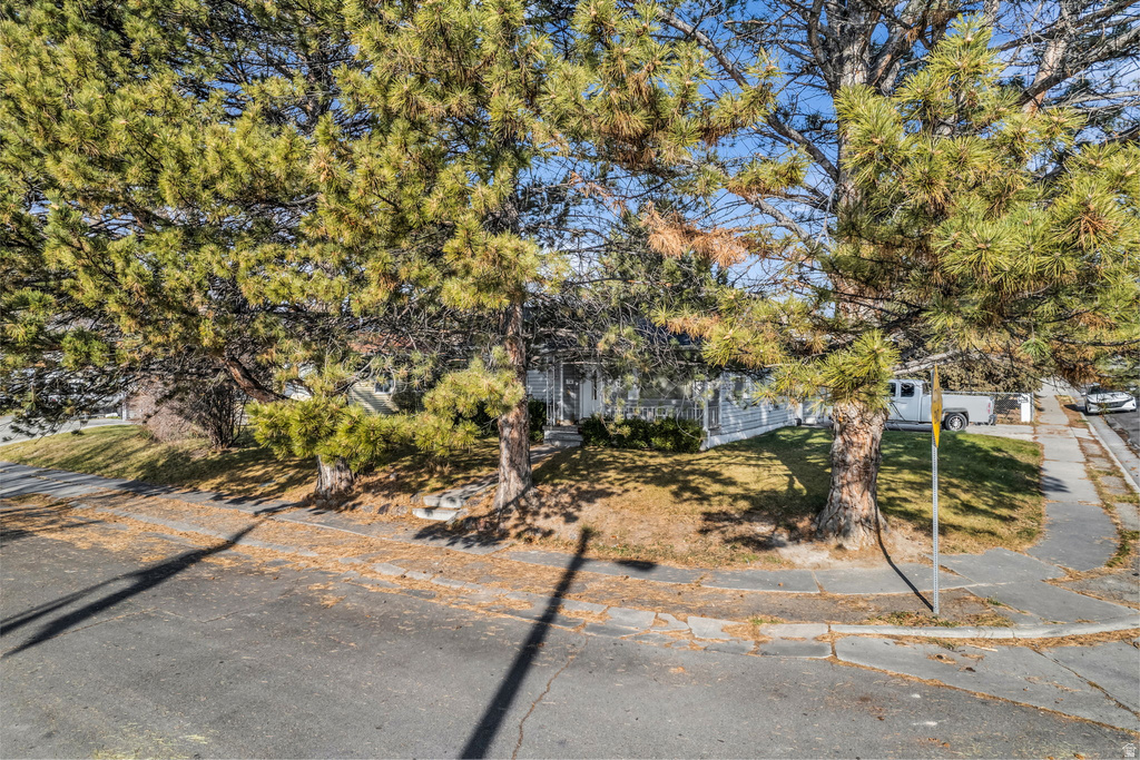 356 CLIFTON AVE American Fork, UT 84003