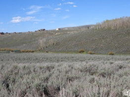 32  DRY VALLEY RD Scofield, UT 84526