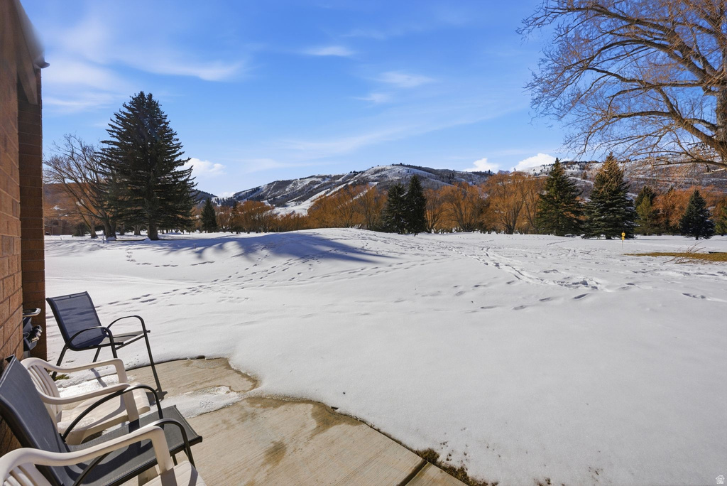 1781 CAPTAIN MOLLY DR Park City, UT 84060