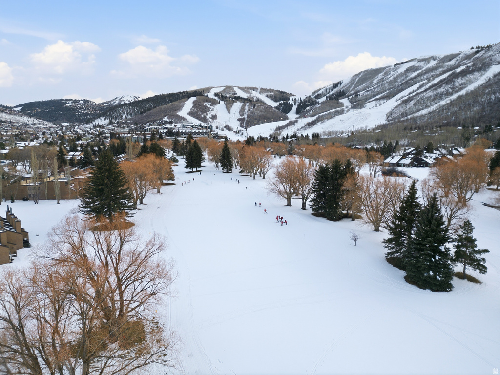1781 CAPTAIN MOLLY DR Park City, UT 84060