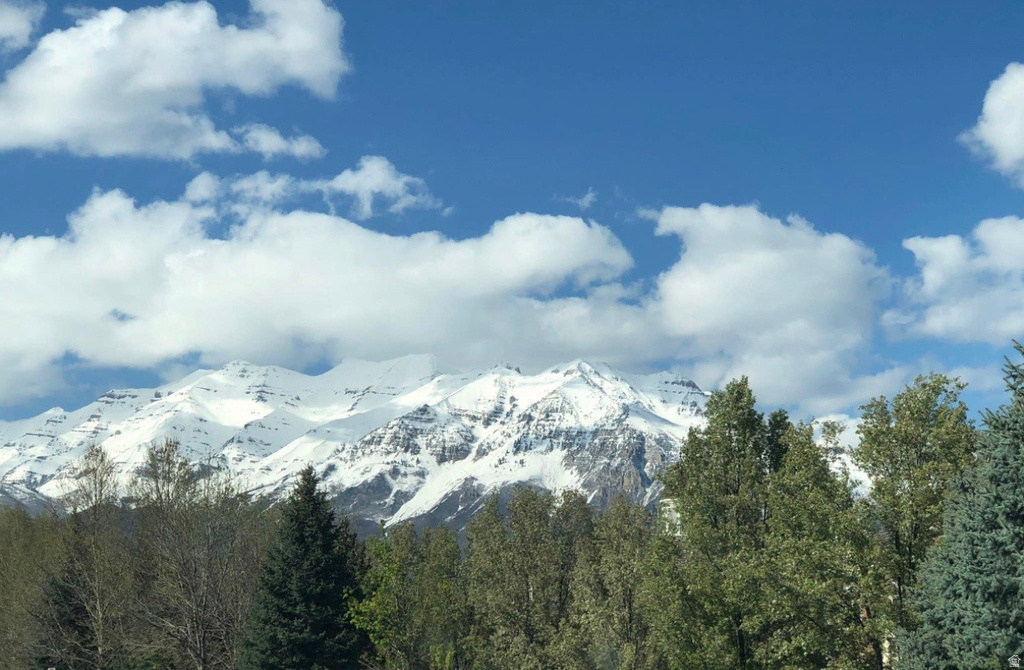 544 S CARTERVILLE Orem, UT 84097