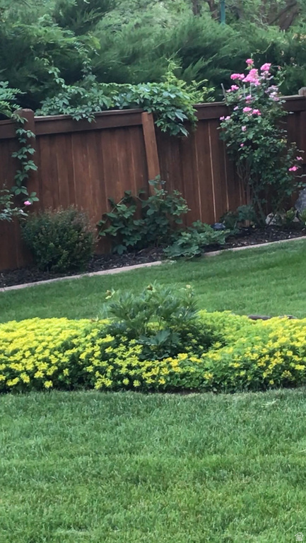 544 S CARTERVILLE Orem, UT 84097