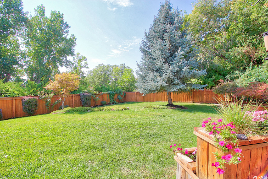 544 S CARTERVILLE Orem, UT 84097