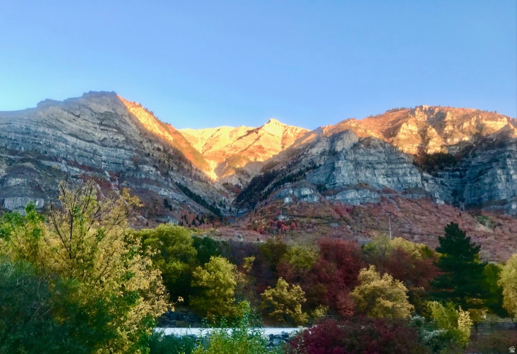 544 S CARTERVILLE Orem, UT 84097