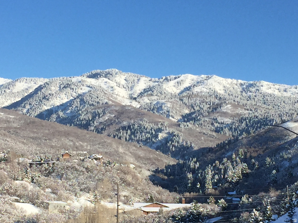 1676 E MUELLER PARK RD Bountiful, UT 84010