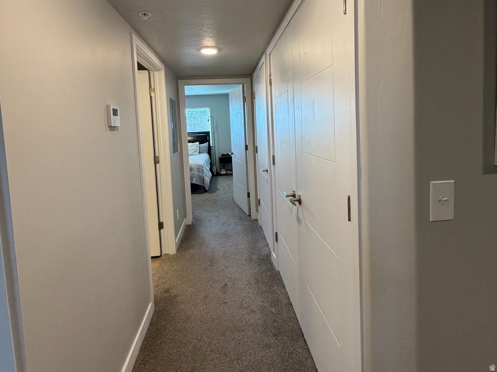 572 S 100 W #E 210 Springville, UT 84663