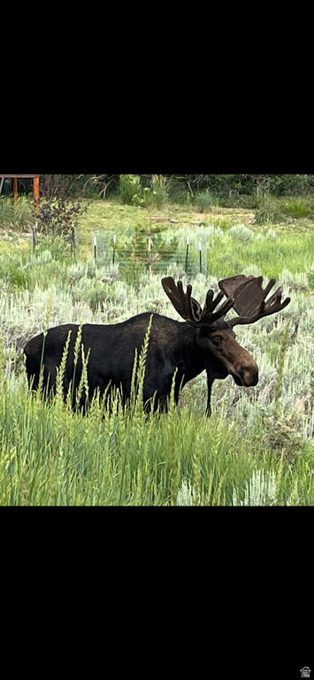 303  S CLYDE LAKE DR Heber City, UT 84032