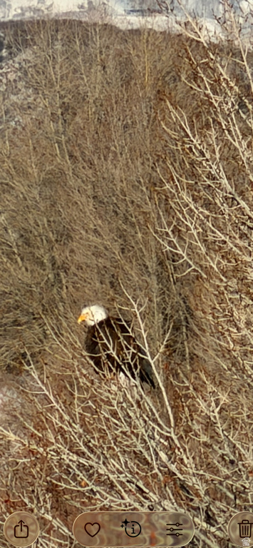 303  S CLYDE LAKE DR Heber City, UT 84032