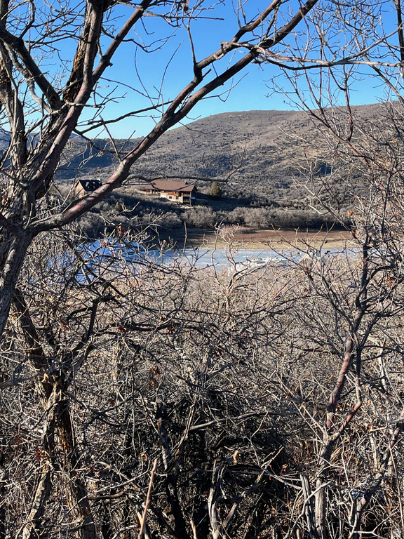 303  S CLYDE LAKE DR Heber City, UT 84032