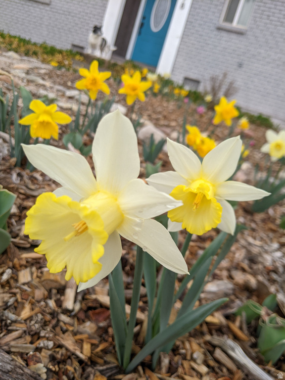 278 HOBBS ST Moab, UT 84532