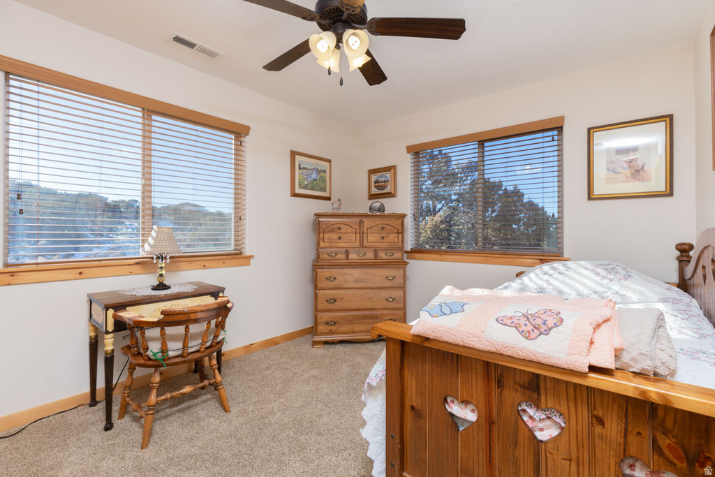 915 S CANYON DR Cedar City, UT 84720