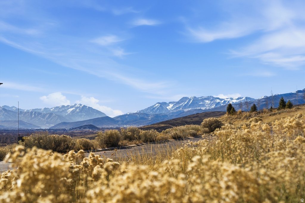 2654 N RIVER DR Midway, UT 84049