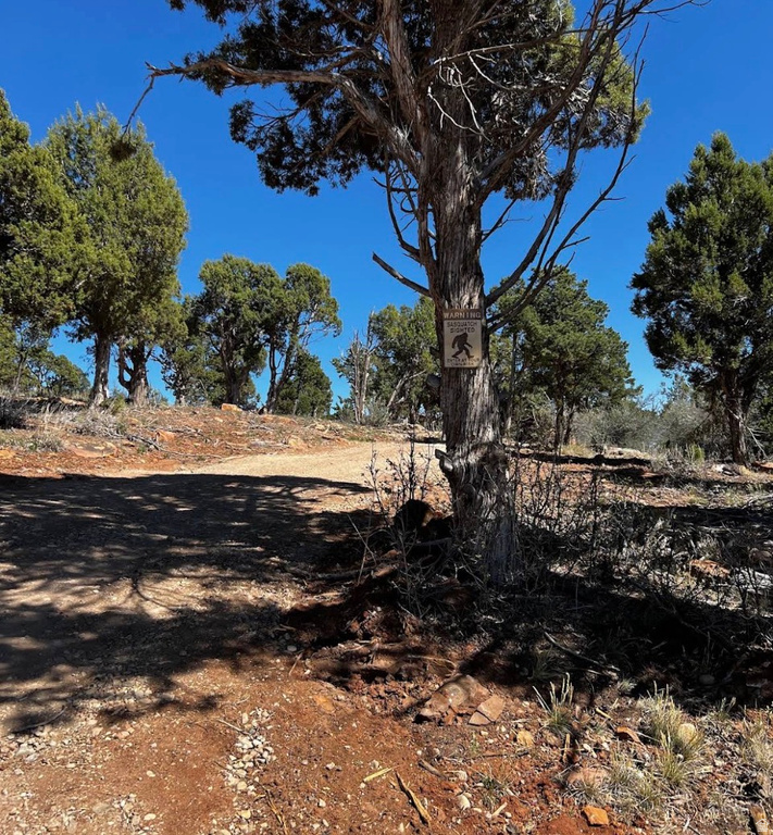 33 ROSIE LN Monticello, UT 84535