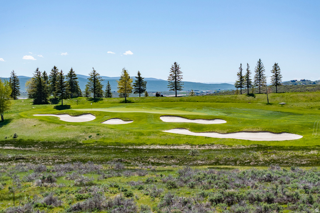 8175  GLENWILD DR Park City, UT 84098