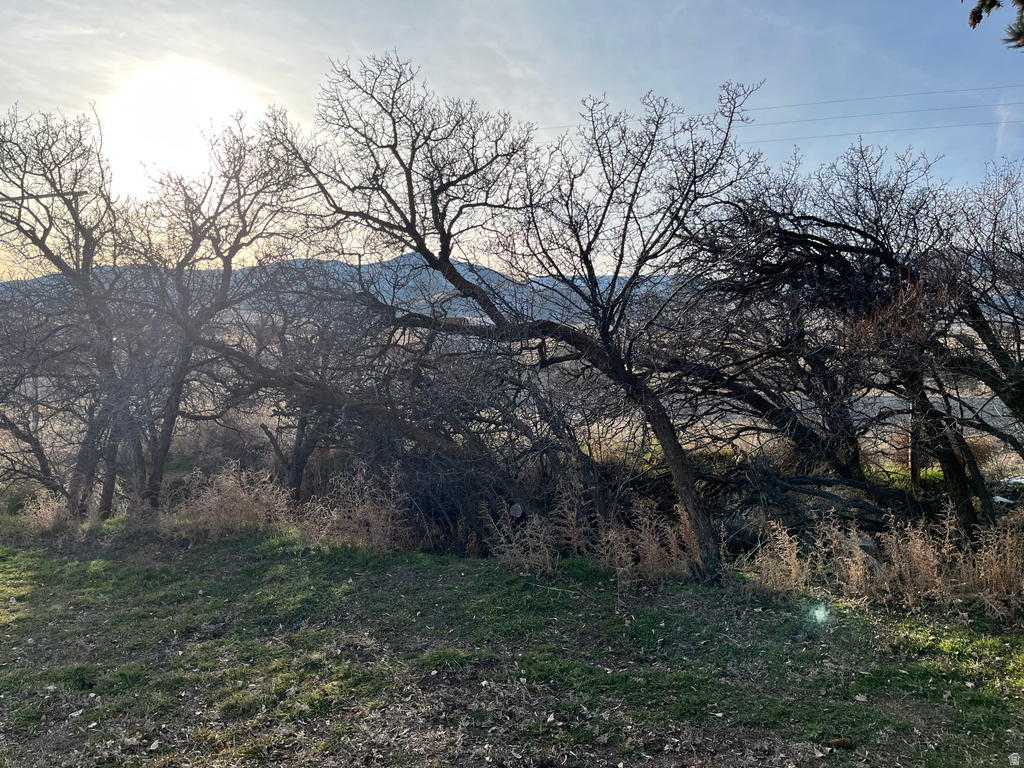 685 N 5400 W Malad City, ID 83252