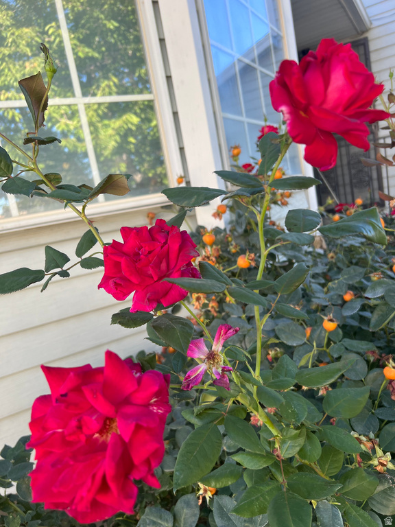 7529 S SPRINGBROOK DR West Jordan, UT 84084