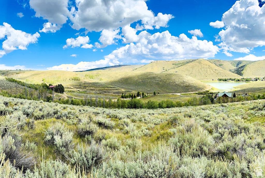 6  ASPEN COVE DR Scofield, UT 84526