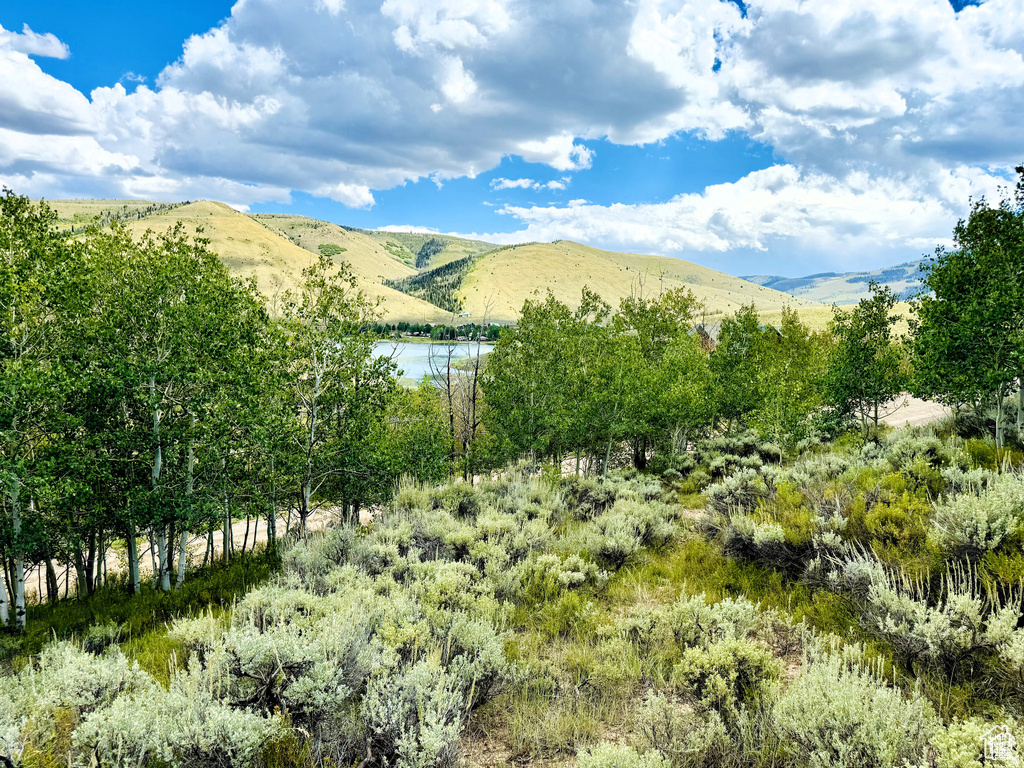 6  ASPEN COVE DR Scofield, UT 84526