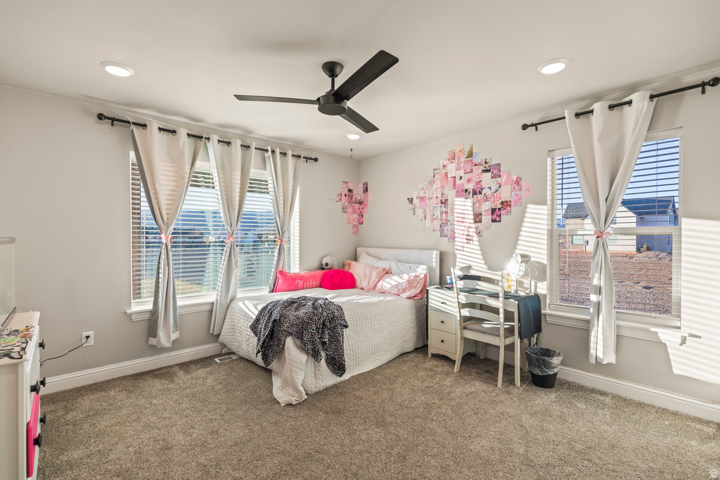 1075 S 800 E Elsinore, UT 84724