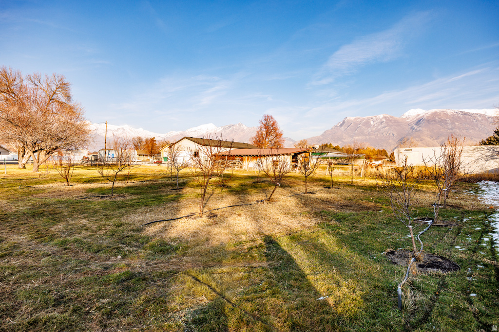 5995 W 9600 N Highland, UT 84003