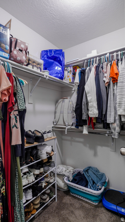 4259 E HILL VIEW DR Eagle Mountain, UT 84005