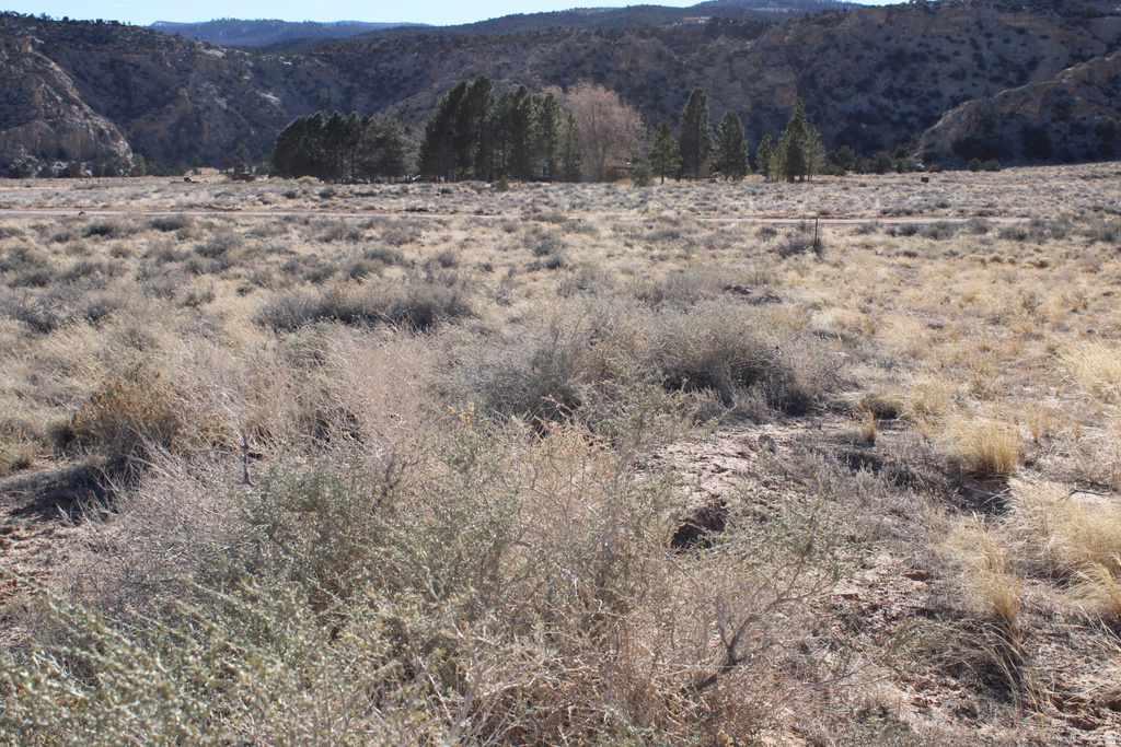 140 E TEASDALE RD Teasdale, UT 84773