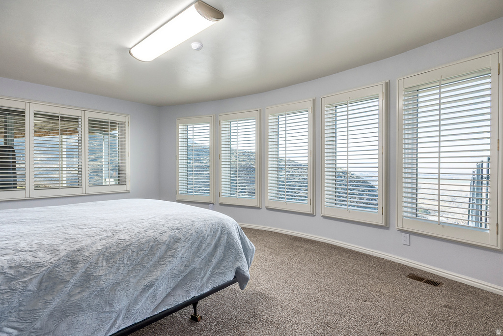 2520 S OAK RIDGE DRIVE DR Spanish Fork, UT 84660