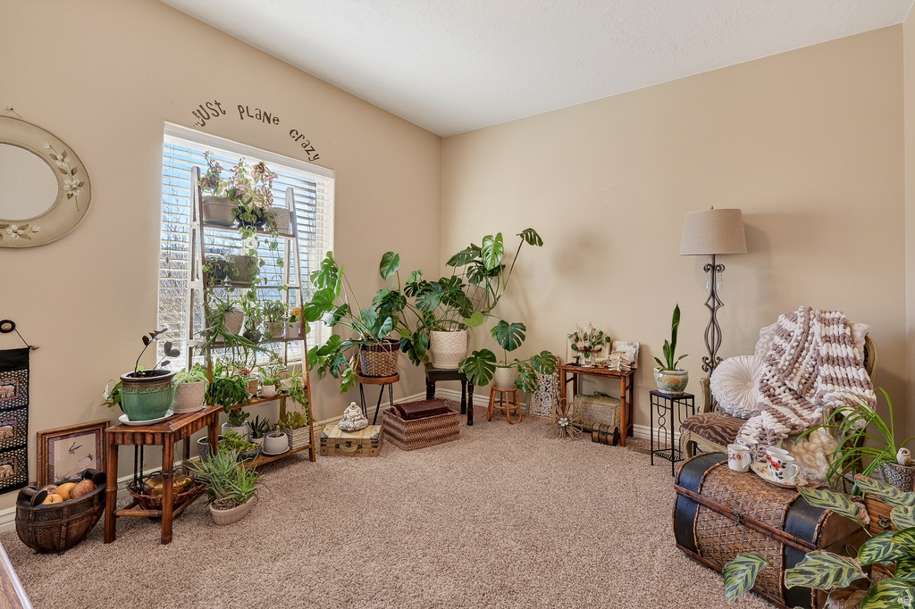 63 W 2875 CIR Cedar City, UT 84721