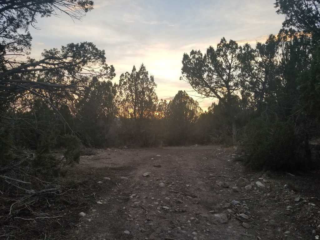 50178  BLACKHAWK MOUNT STATES Indianola, UT 84629