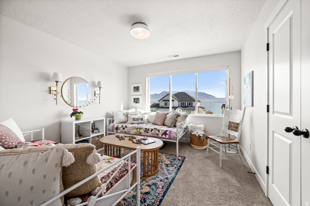 2837 S GREENHEAD DR Saratoga Springs, UT 84045