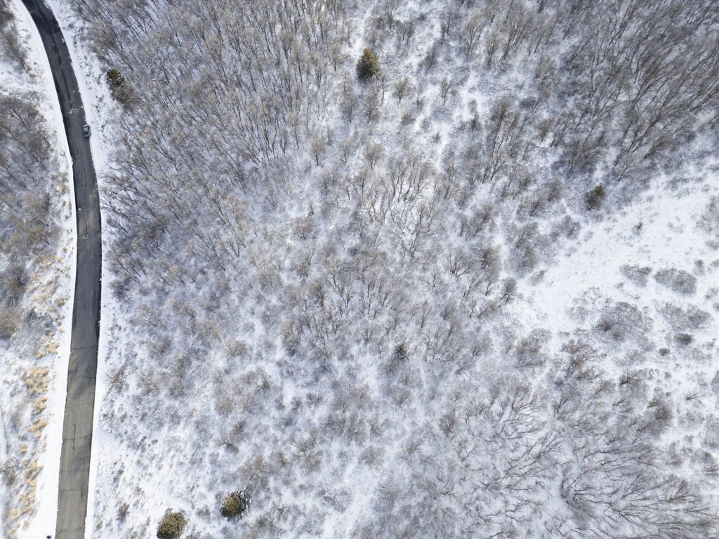 6559 E CHAPARRAL RD Huntsville, UT 84317