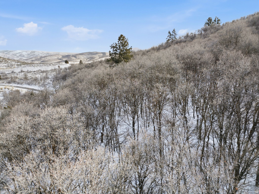 6559 E CHAPARRAL RD Huntsville, UT 84317