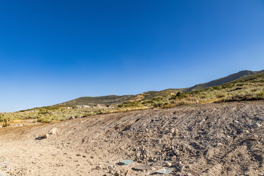 1181 E WILDFLOWER CIR Heber City, UT 84032