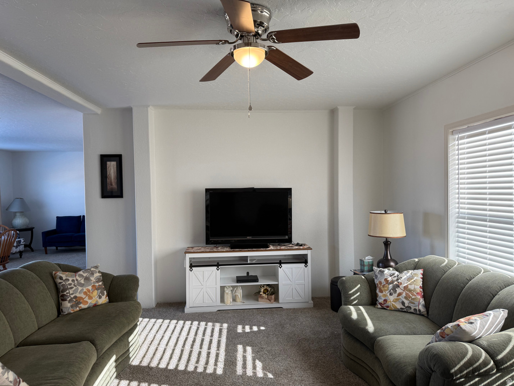 765 E 300 N #234 Mt Pleasant, UT 84647