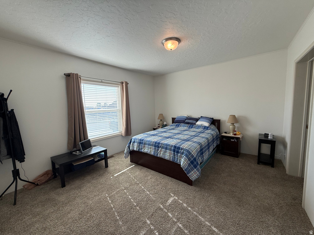 765 E 300 N #234 Mt Pleasant, UT 84647