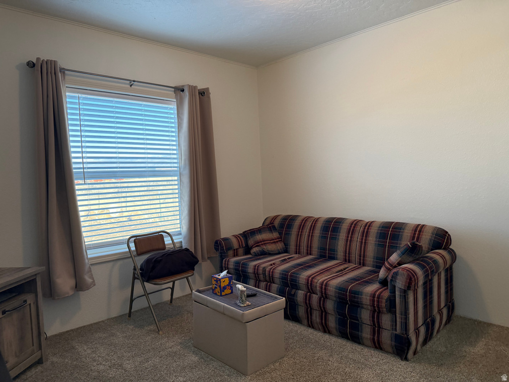 765 E 300 N #234 Mt Pleasant, UT 84647