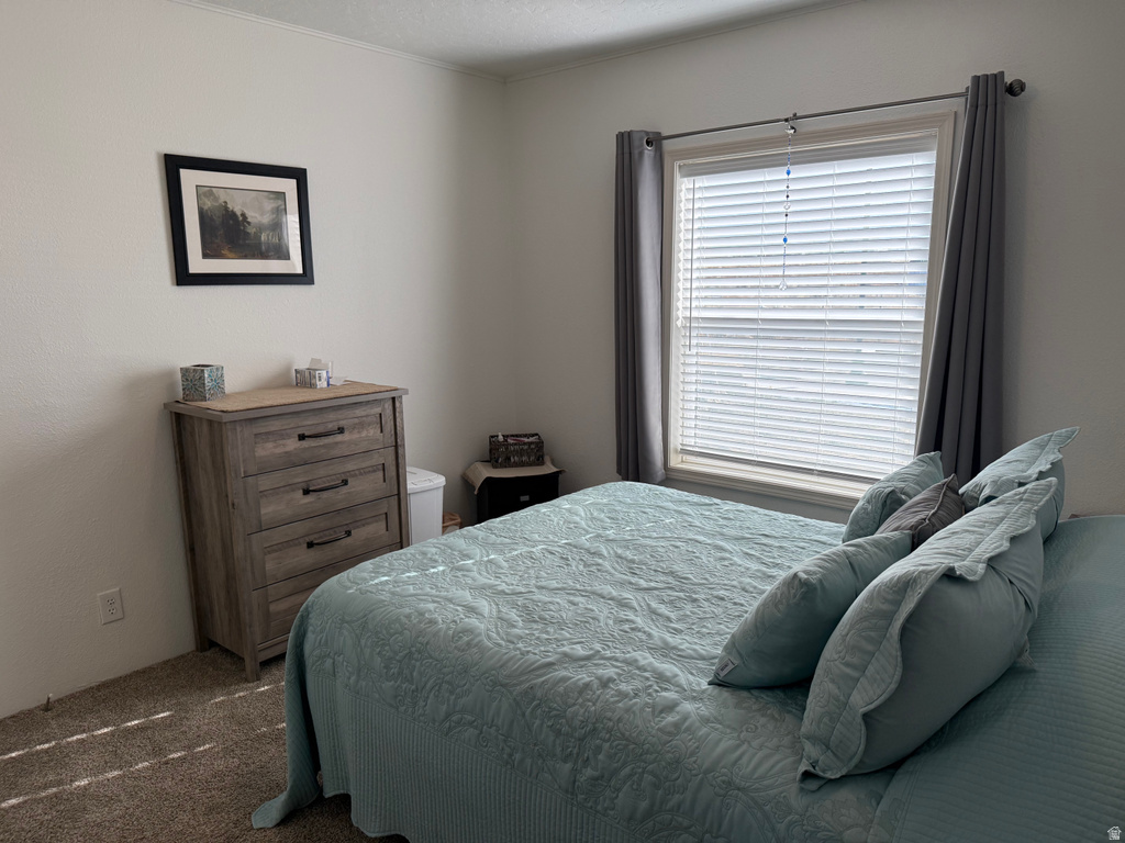 765 E 300 N #234 Mt Pleasant, UT 84647