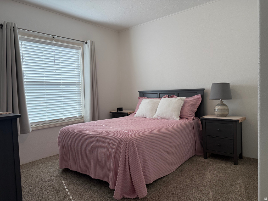 765 E 300 N #234 Mt Pleasant, UT 84647