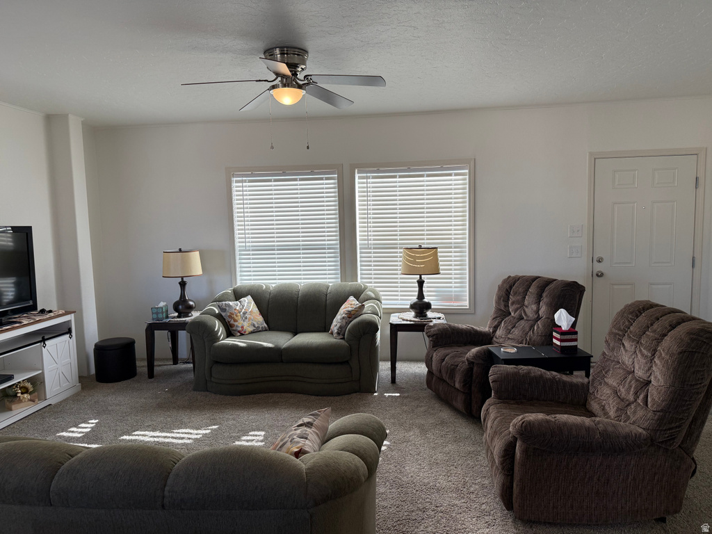 765 E 300 N #234 Mt Pleasant, UT 84647