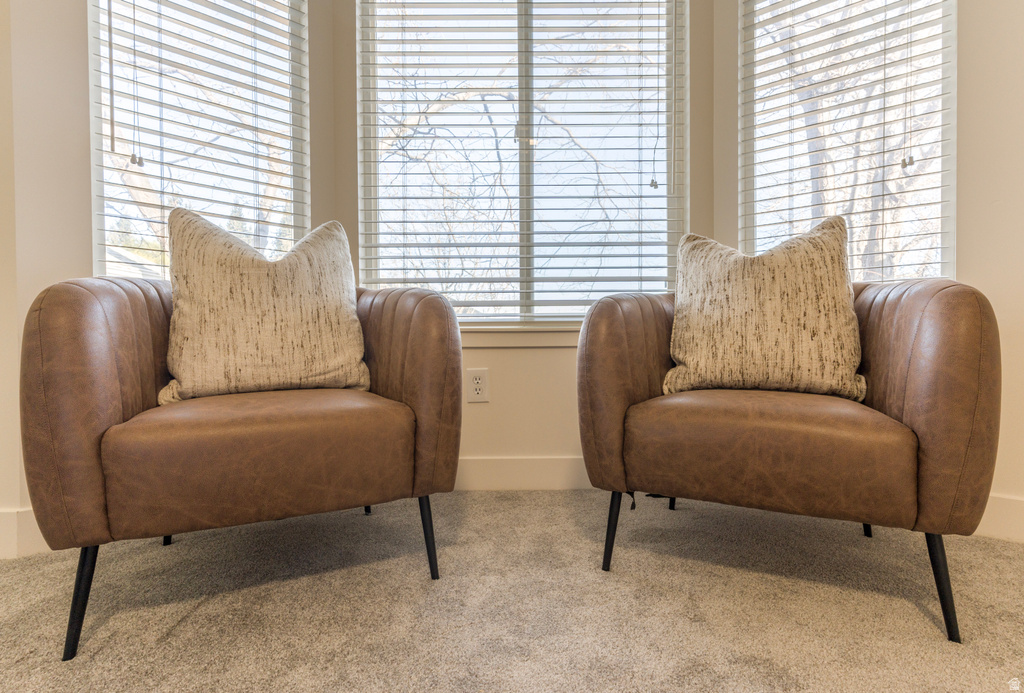 1344 W BRISTOL RIDGE RD West Jordan, UT 84088