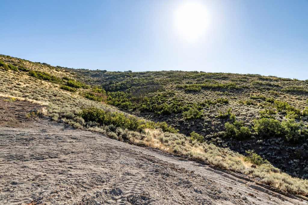 1319 E WILDFLOWER CIR Heber City, UT 84032