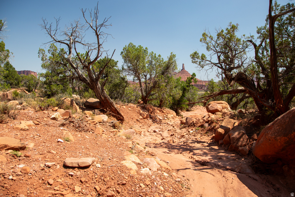 343  TAYLOR LN Castle Valley, UT 84532