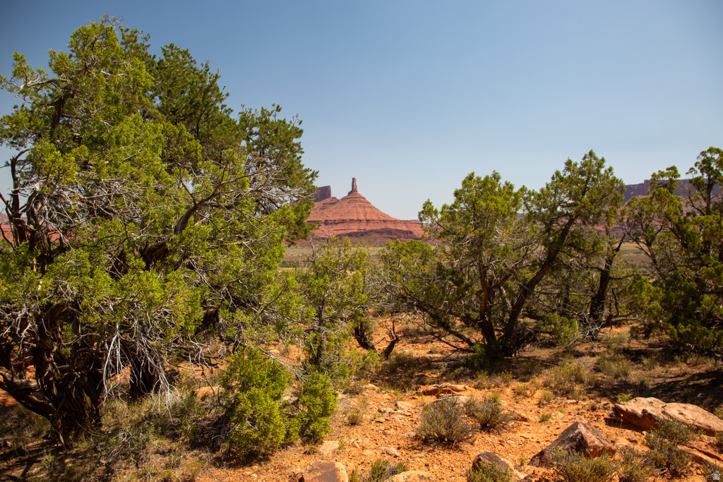 343  TAYLOR LN Castle Valley, UT 84532